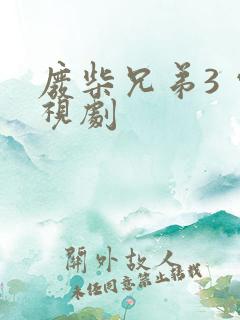 废柴兄弟3 电视剧