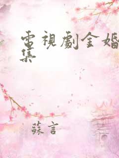 电视剧金婚50集