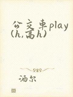 公交车play(h,高h)