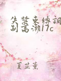 失禁束缚调教强制高潮17c