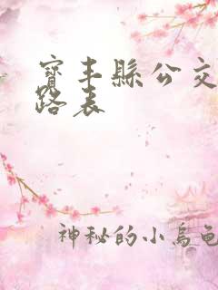 宝丰县公交车线路表