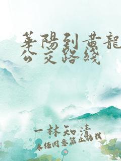 华阳到黄龙溪的公交路线