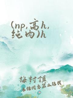 (np,高h,纯肉)h