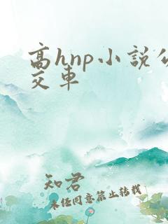 高hnp小说公交车