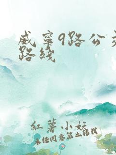 威宁9路公交车路线
