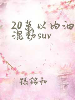 20万以内油电混动suv
