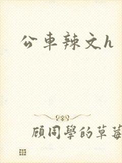 公车辣文h