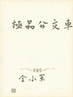 极品公交车小说