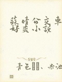 苏晴公交车被强好爽小说