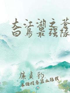 大江湖之苍龙与白鸟最强队友