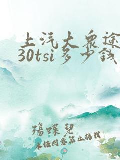 上汽大众途岳330tsi多少钱