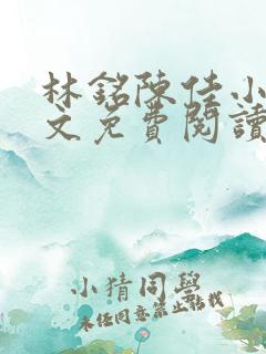 林铭陈佳小说全文免费阅读最新章节