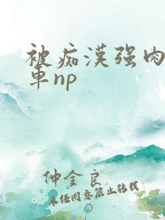 被痴汉强肉h公车np