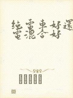纯电车好还是油电混合好