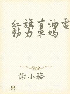 红旗有油电混合动力车吗