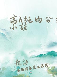 高h纯肉公交车小说