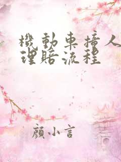 机动车撞人全责理赔流程