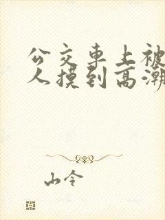 公交车上被陌生人摸到高潮