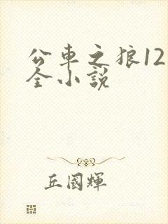 公车之狼12集全小说