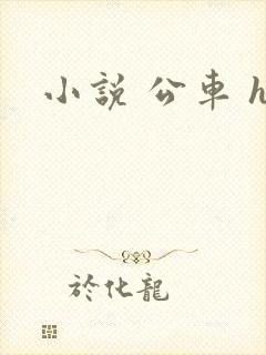 小说 公车 h