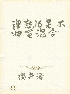 理想l6是不是油电混合