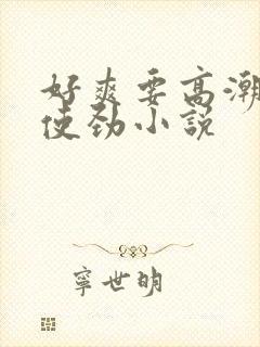 好爽要高潮了快使劲小说