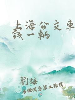 上海公交车多少钱一辆