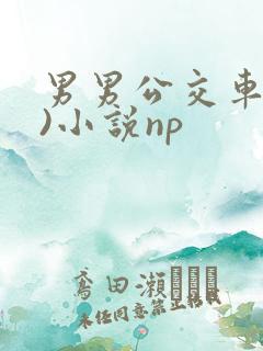 男男公交车(h)小说np