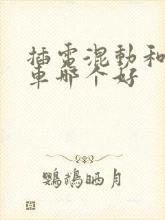 插电混动和纯电车哪个好