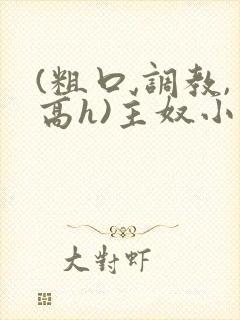 (粗口,调教,高h)主奴小说任