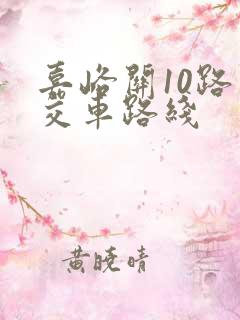 嘉峪关10路公交车路线