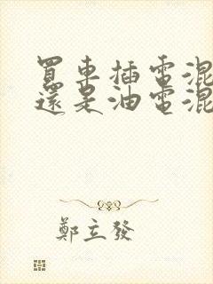买车插电混动好还是油电混动好