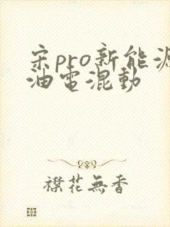 宋pro新能源油电混动