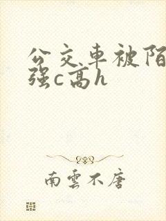 公交车被陌生人强c高h