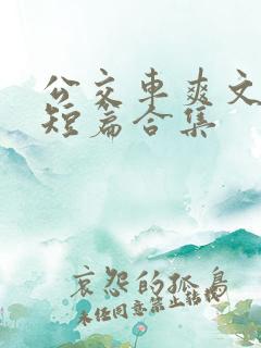 公交车爽文经典短篇合集