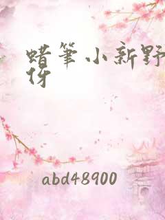 蜡笔小新野原美伢
