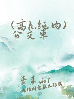 (高h,纯肉)公交车
