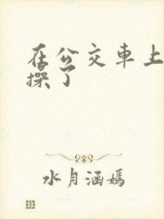 在公交车上被人操了