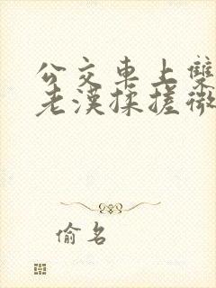 公交车上双乳被老汉揉搓微博