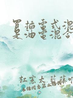 买插电式混合还是油电混合好