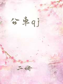 公车qj