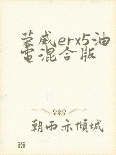 荣威erx5油电混合版