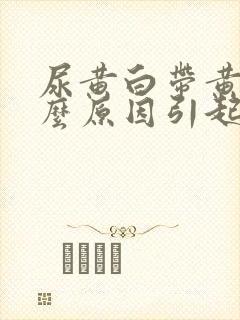 尿黄白带黄是什么原因引起的