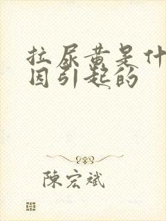 拉尿黄是什么原因引起的