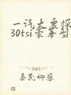 一汽大众探岳330tsi豪华型报价