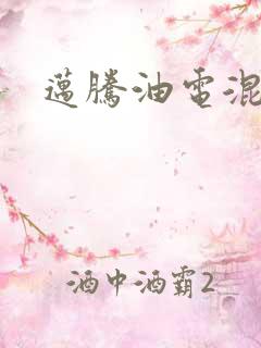 迈腾油电混动版