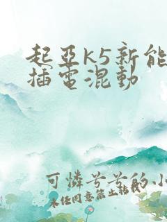 起亚k5新能源插电混动