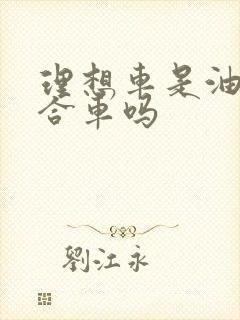 理想车是油电混合车吗