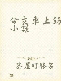 公交车上的秘密小说