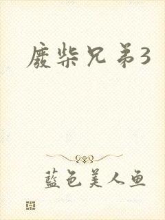 废柴兄弟3